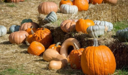 湖南吃瓜爆料是真的吗,真相揭秘还是无稽之谈？